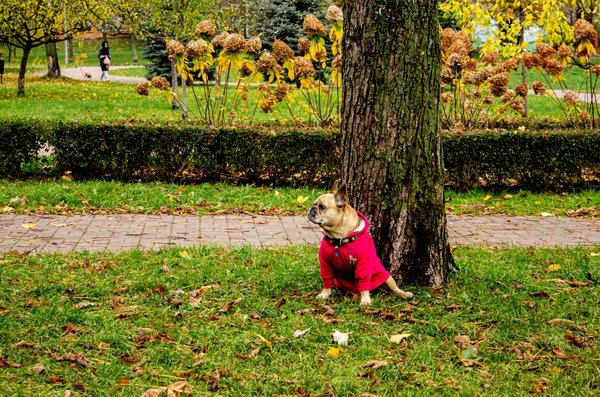 Comment gérer les douleurs de hanche pendant la grossesse ?