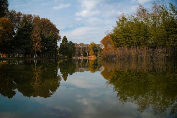 Comment les interventions en nutrition peuvent-elles améliorer la qualité de vie des patients atteints de maladies inflammatoires chroniques?